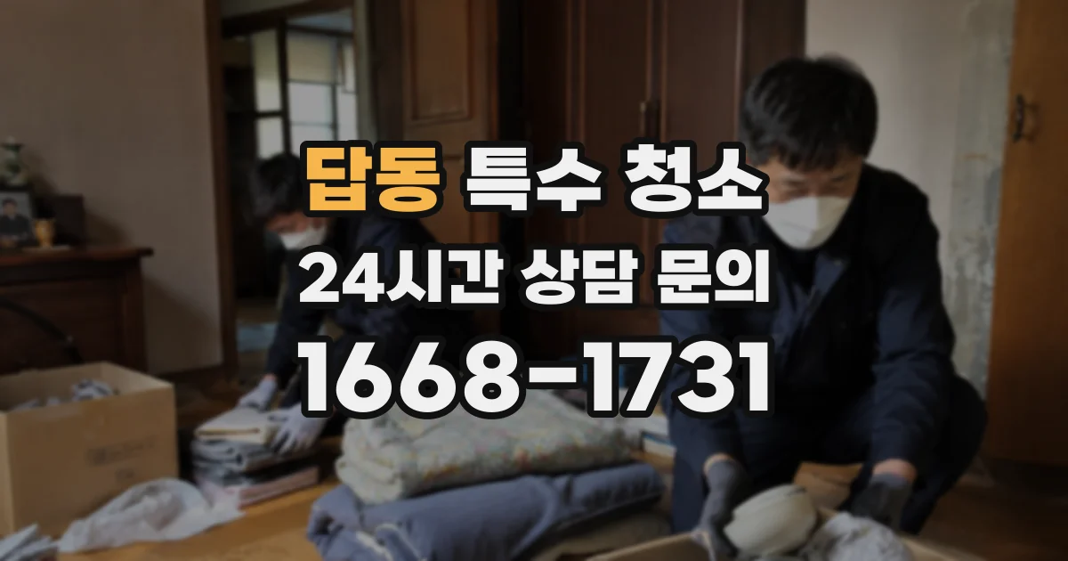 답동 특수 청소