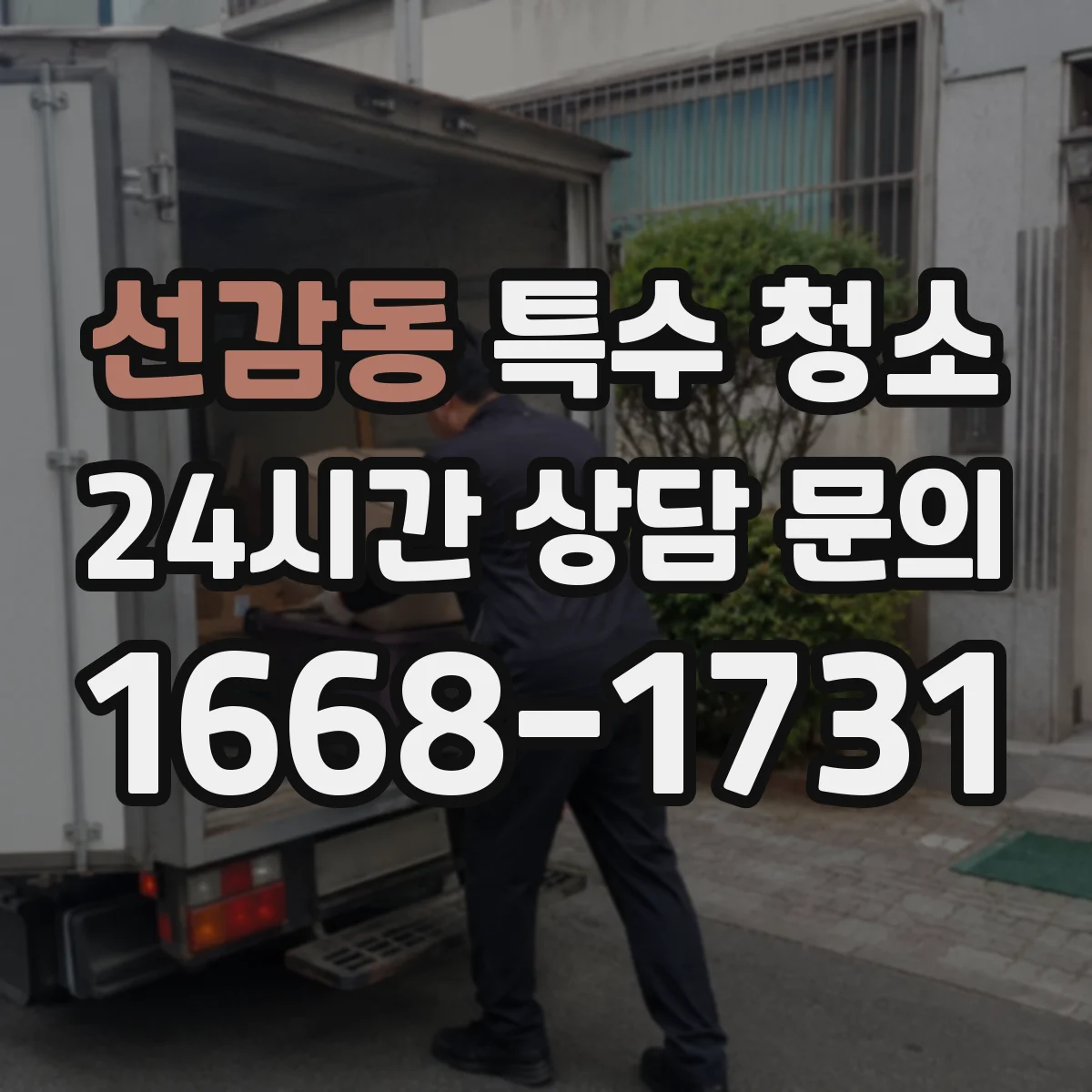 선감동 특수 청소