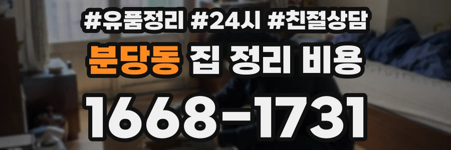 분당동 집 정리 비용