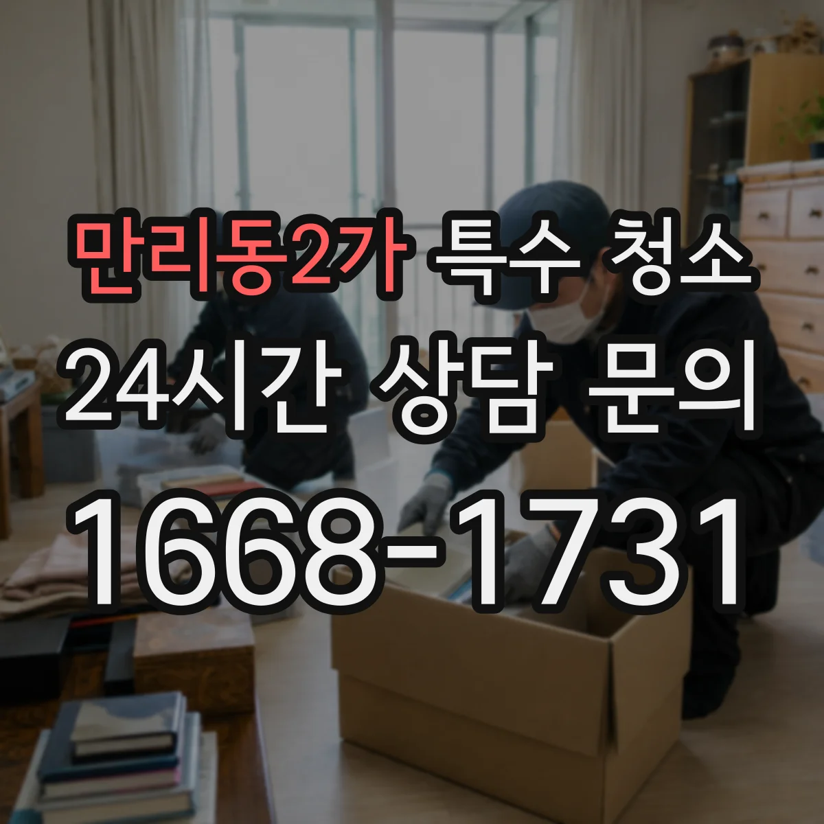 만리동2가 특수 청소