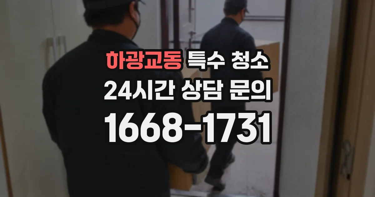 하광교동 특수 청소