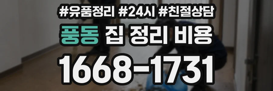 풍동 집 정리 비용
