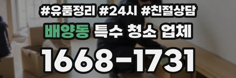 배양동 특수 청소 업체