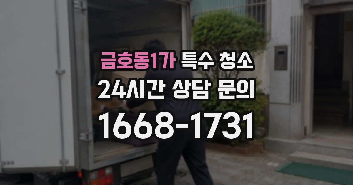 금호동1가 특수 청소