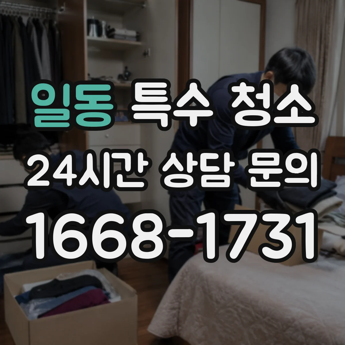 일동 특수 청소