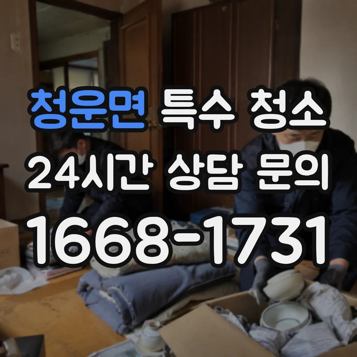 청운면 특수 청소