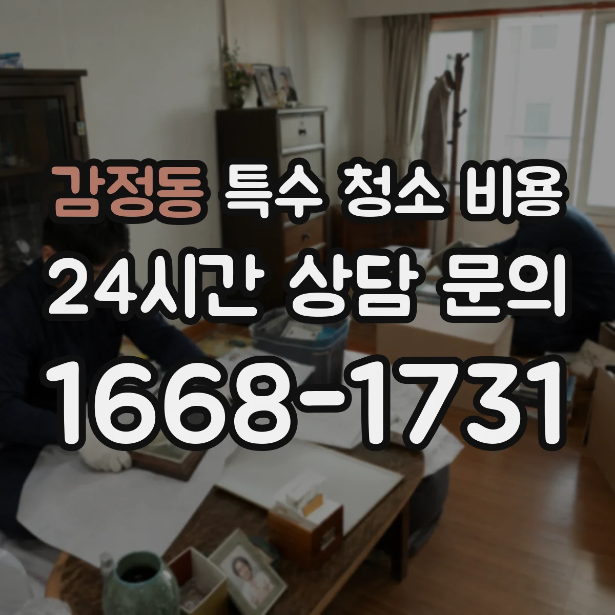 감정동 특수 청소 비용