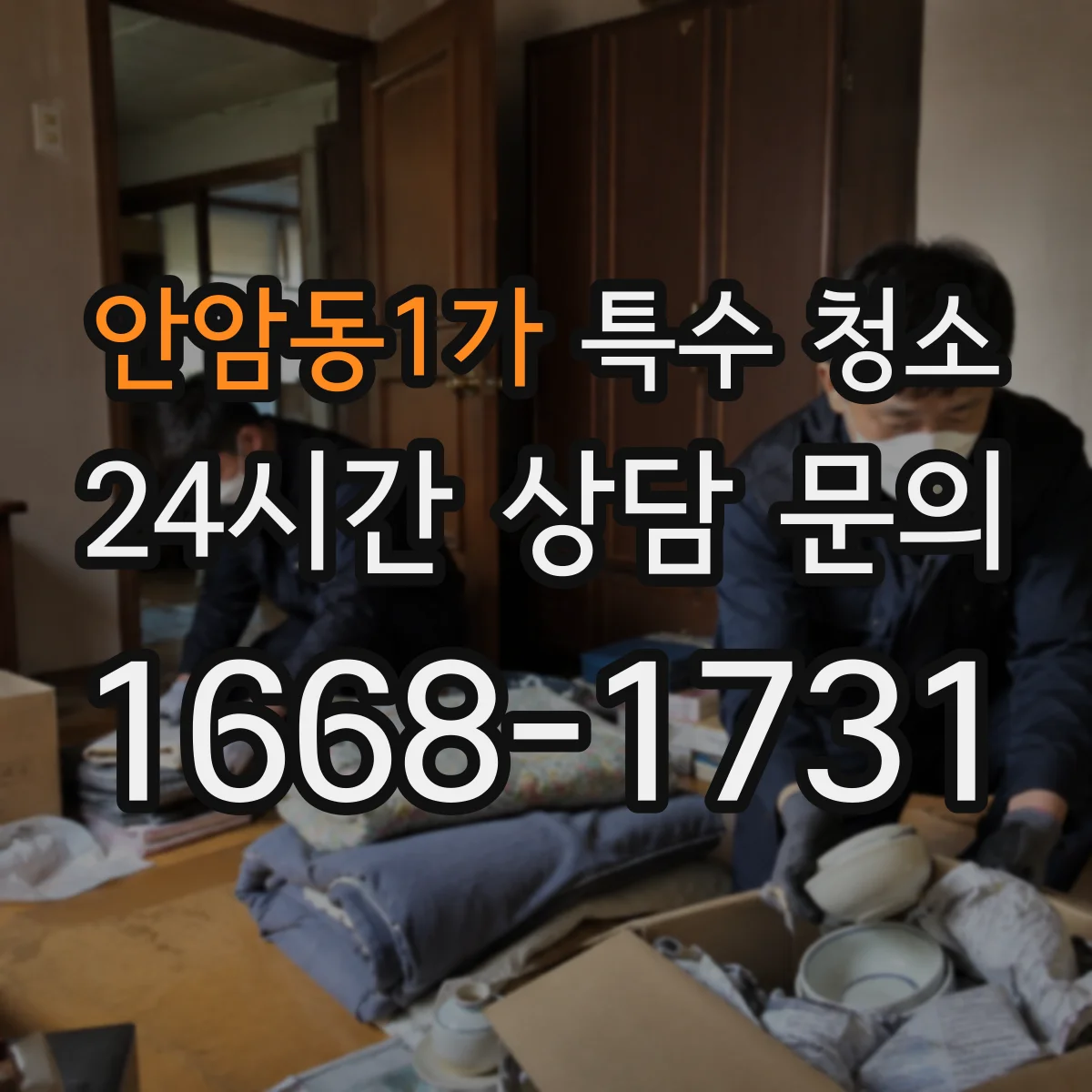 안암동1가 특수 청소