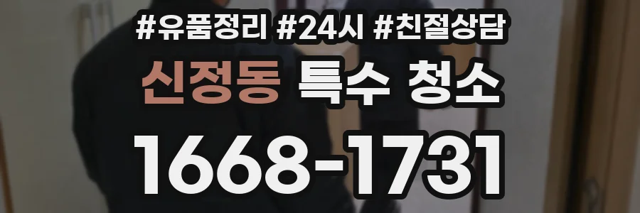 신정동 특수 청소