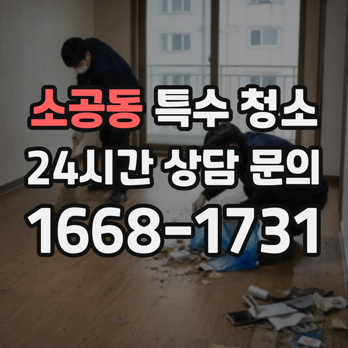 소공동 특수 청소