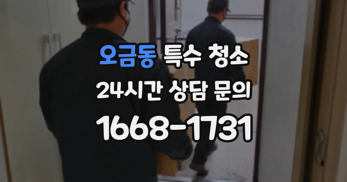 오금동 특수 청소