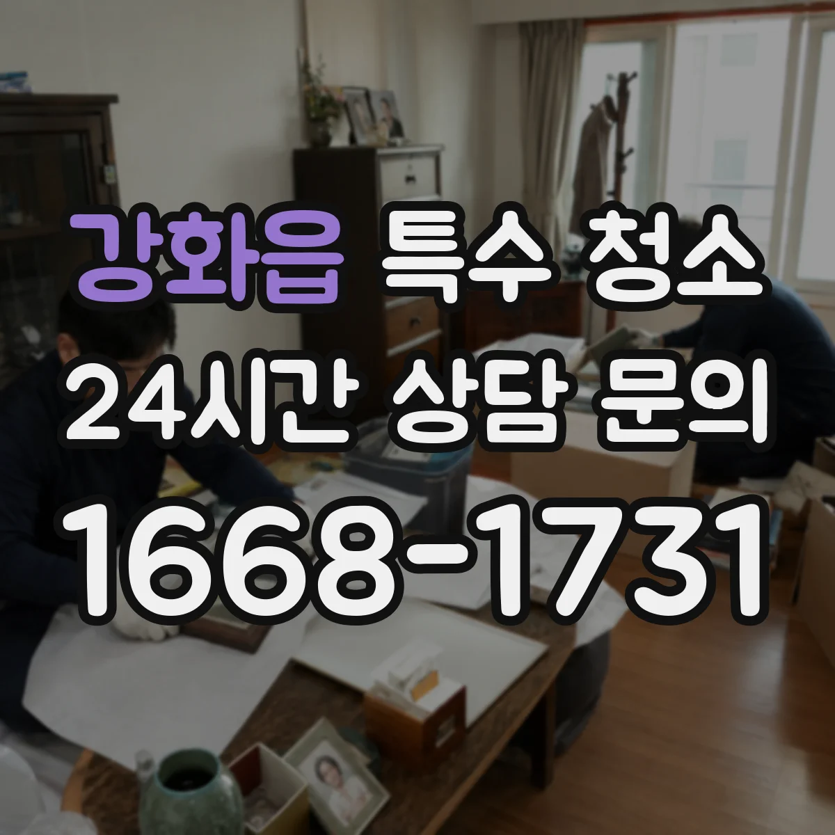 강화읍 특수 청소