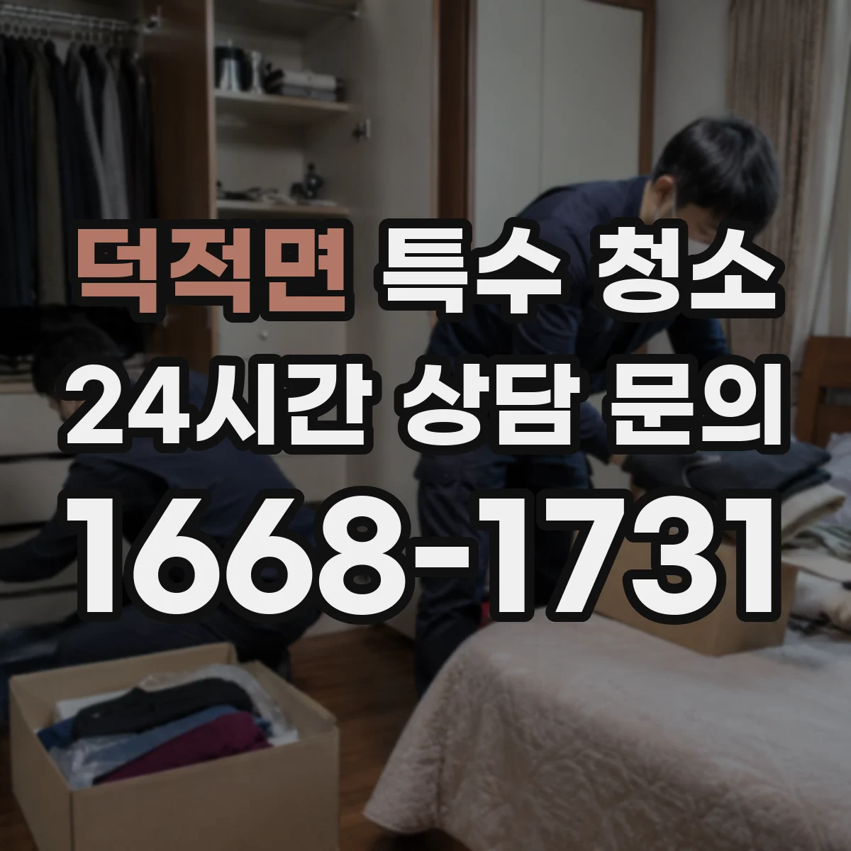 덕적면 특수 청소