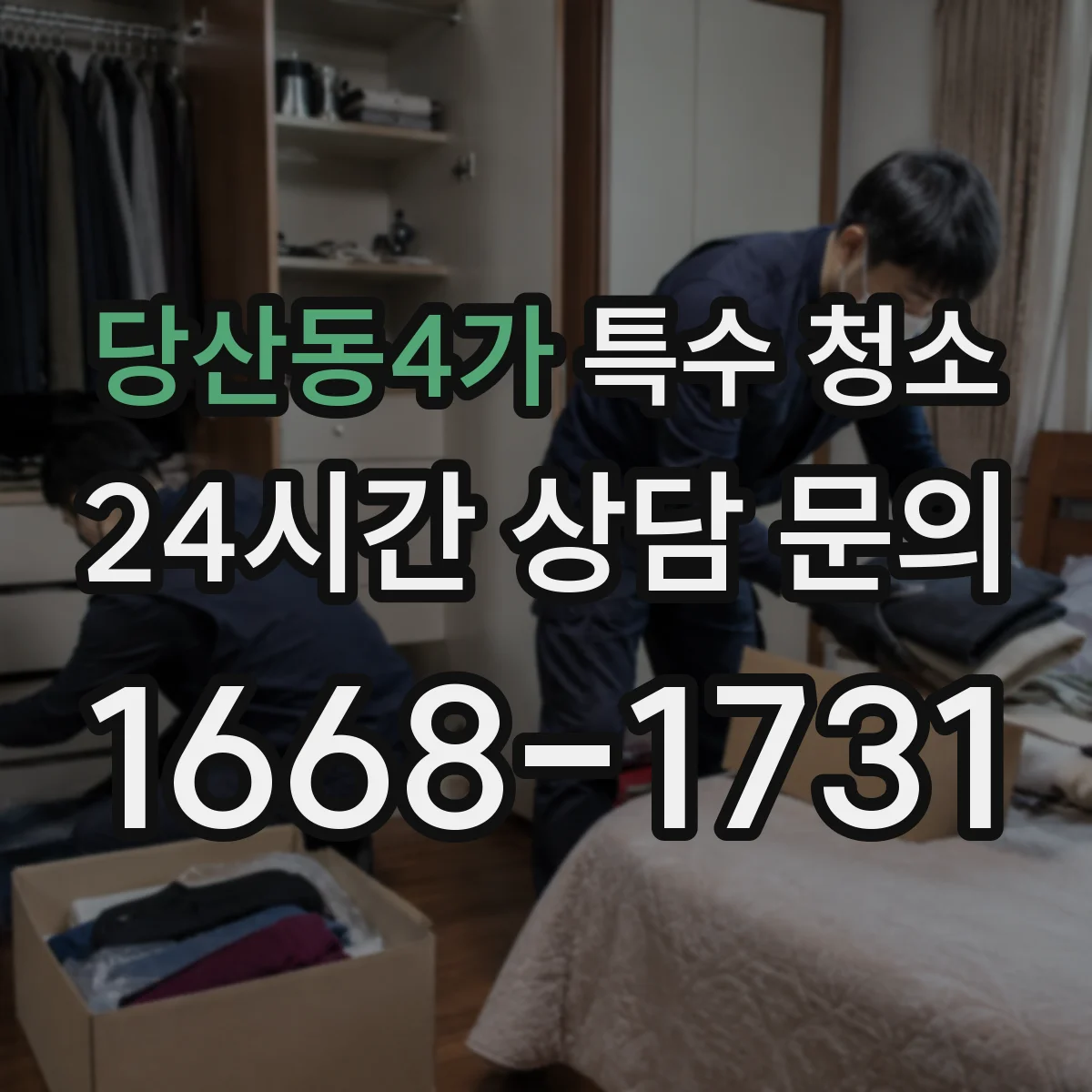 당산동4가 특수 청소