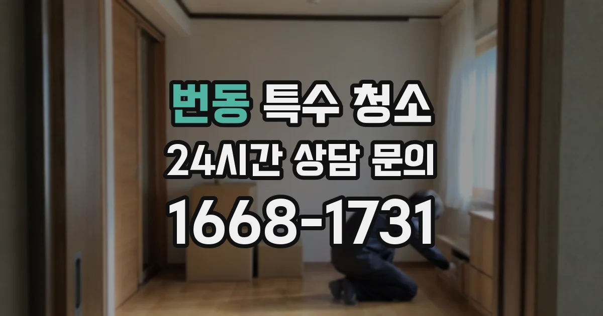 번동 특수 청소