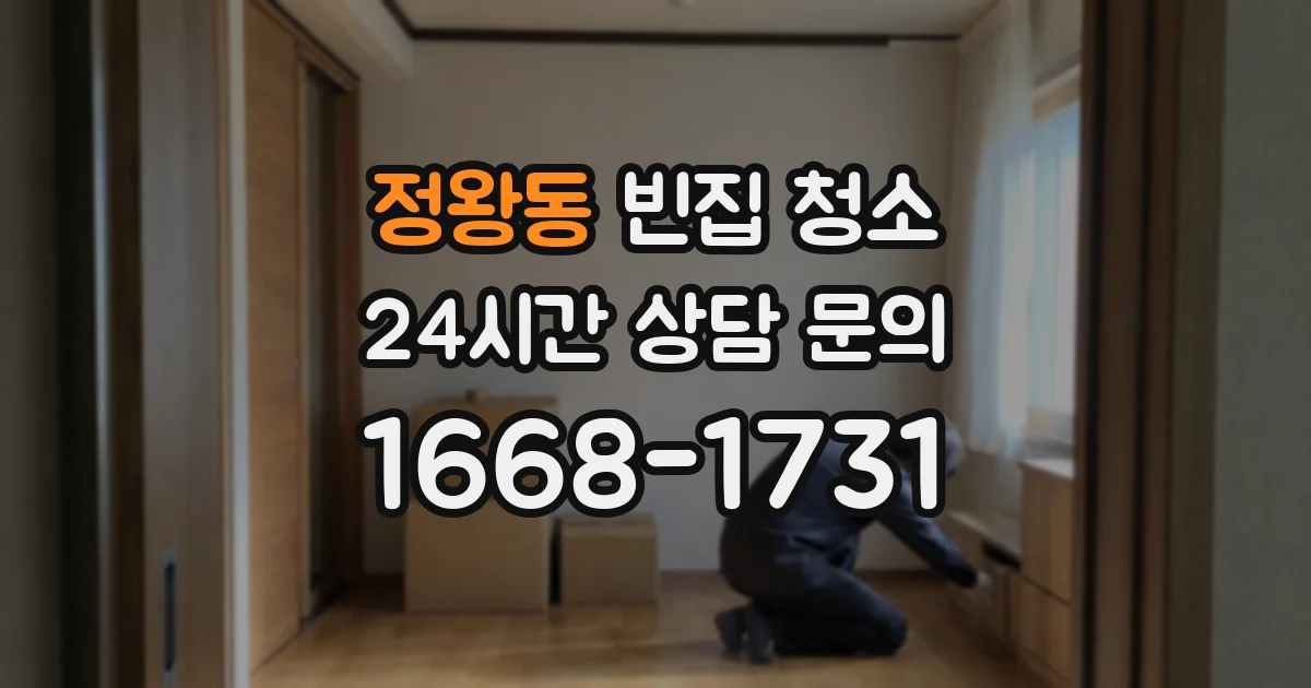 정왕동 빈집 청소