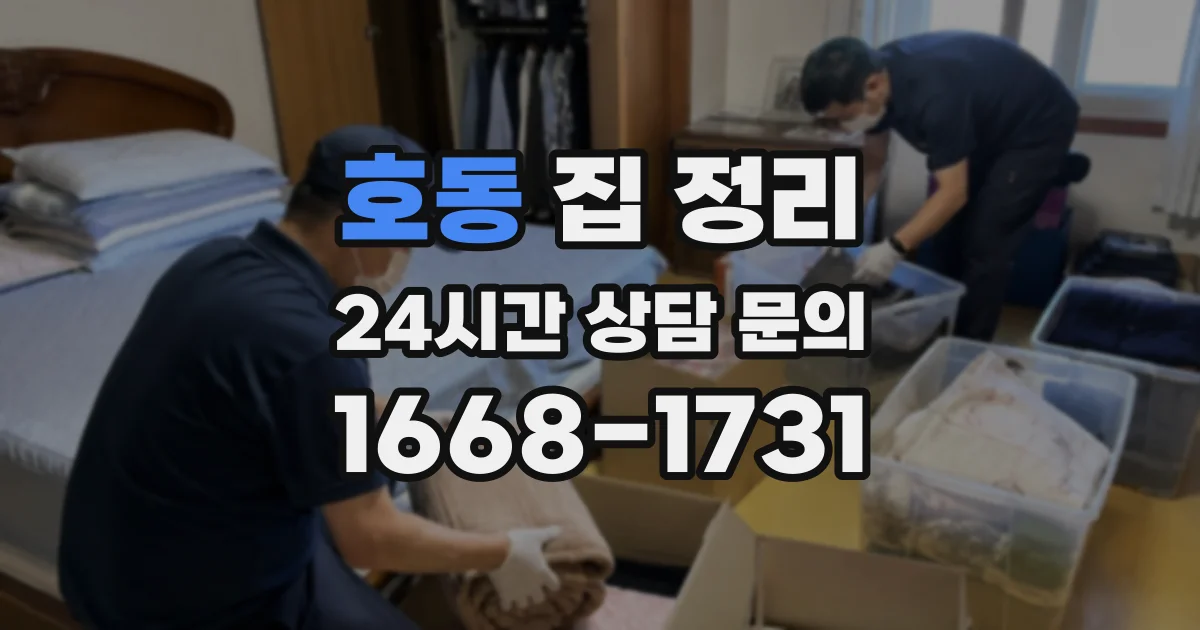 호동 집 정리