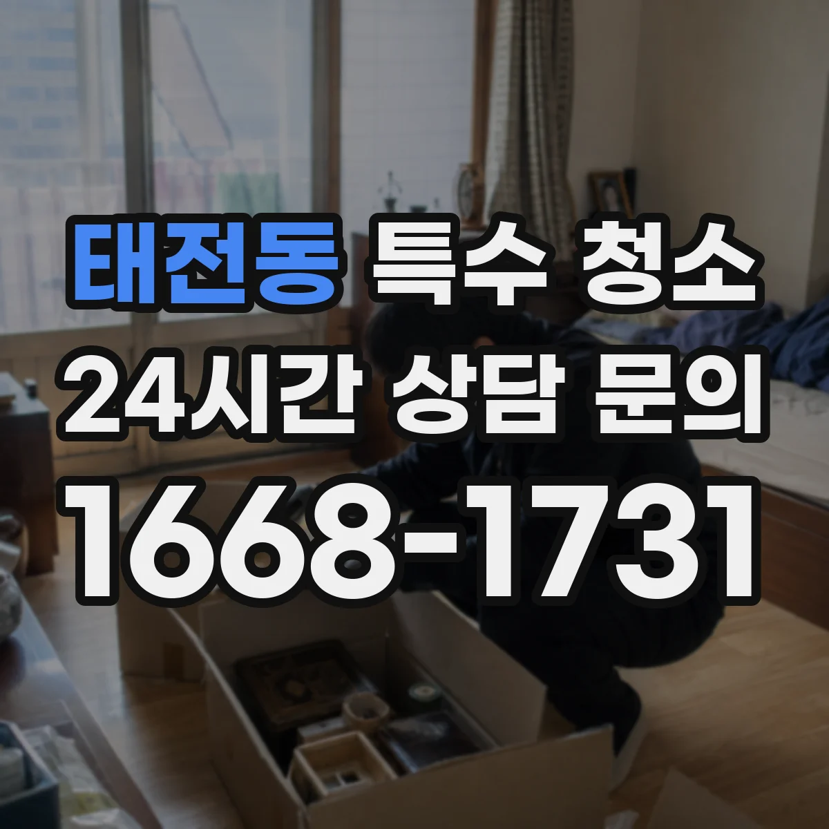 태전동 특수 청소