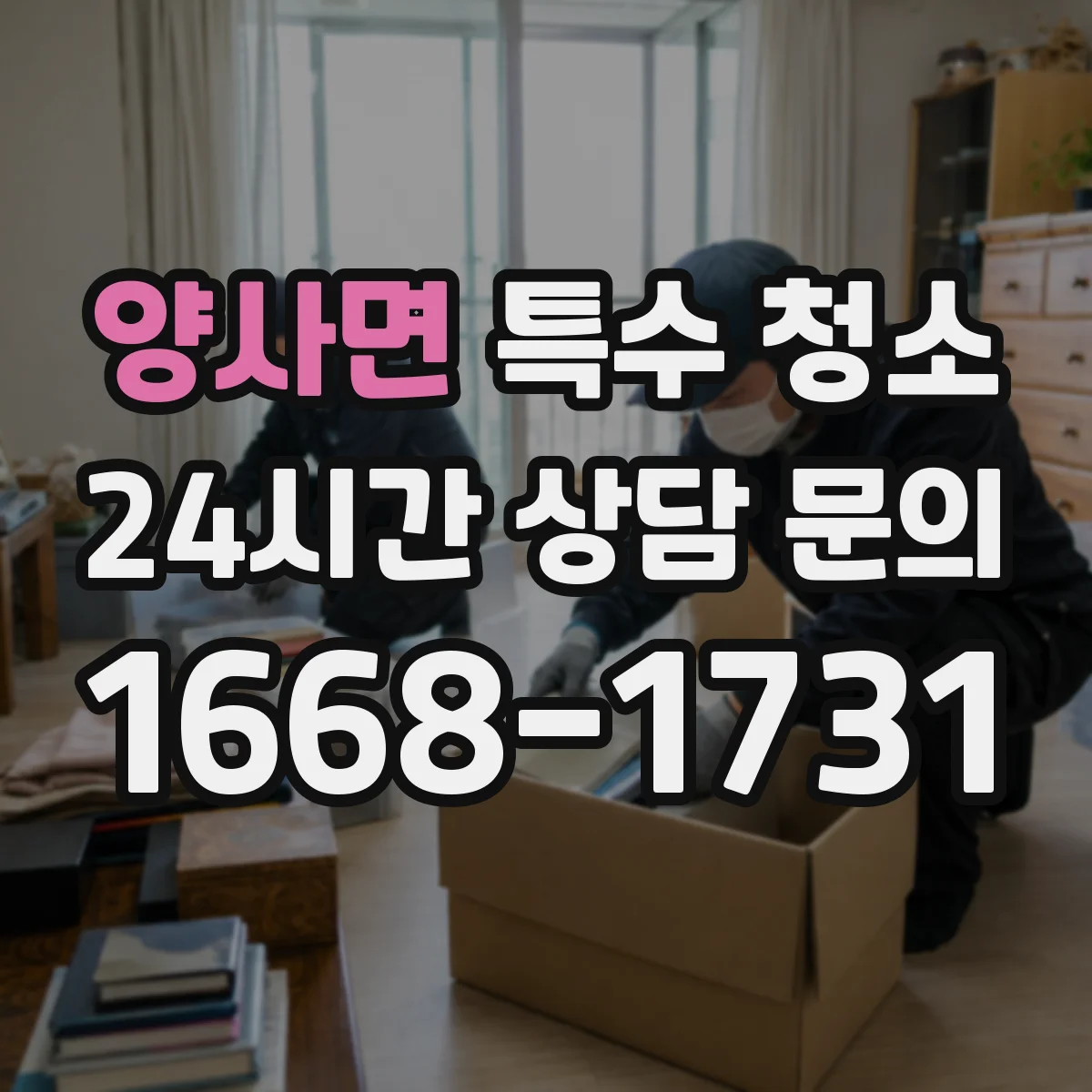양사면 특수 청소