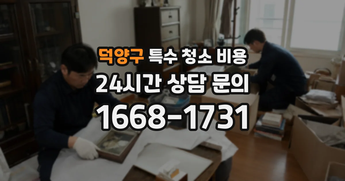 덕양구 특수 청소 비용