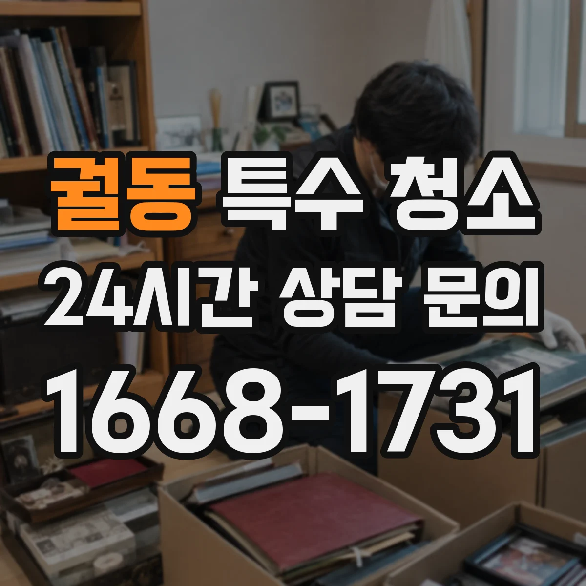 궐동 특수 청소