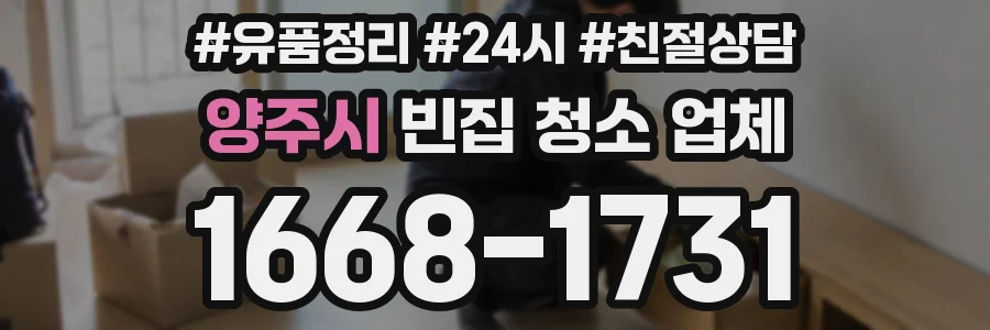 양주시 빈집 청소 업체