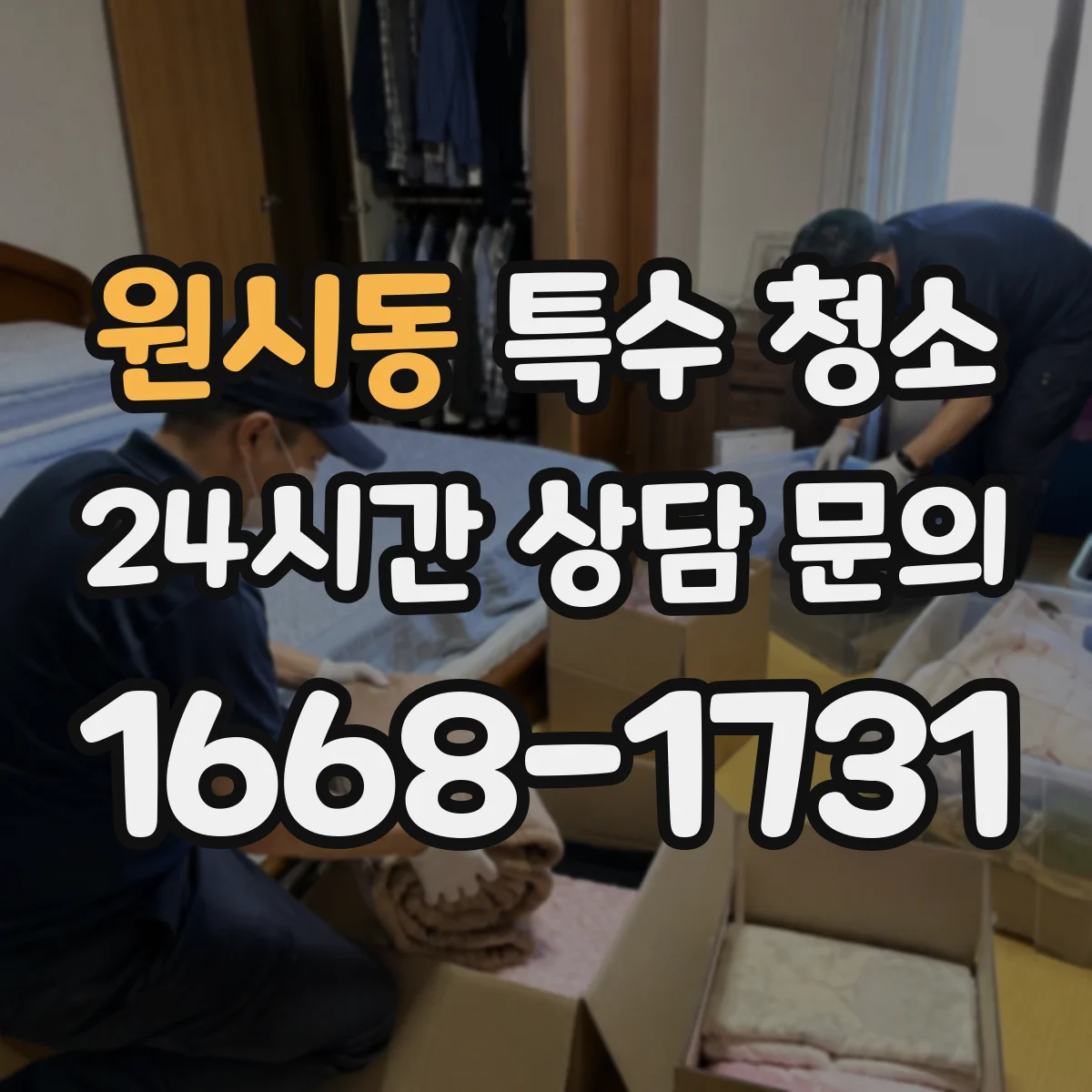 원시동 특수 청소