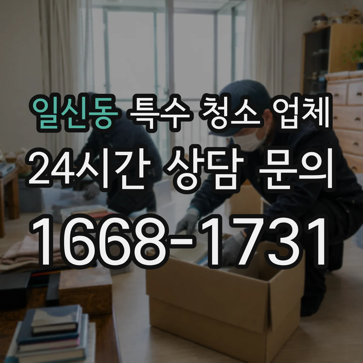 일신동 특수 청소 업체