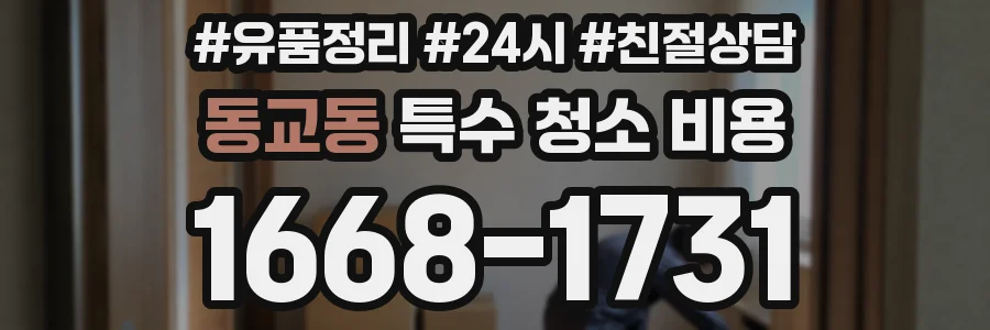 동교동 특수 청소 비용