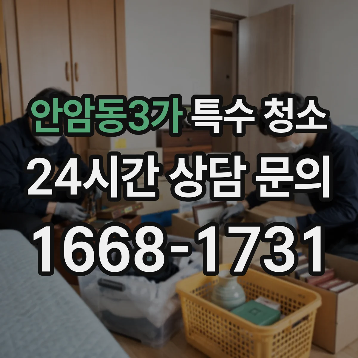 안암동3가 특수 청소