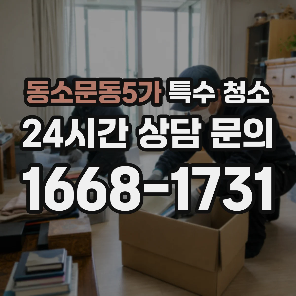 동소문동5가 특수 청소