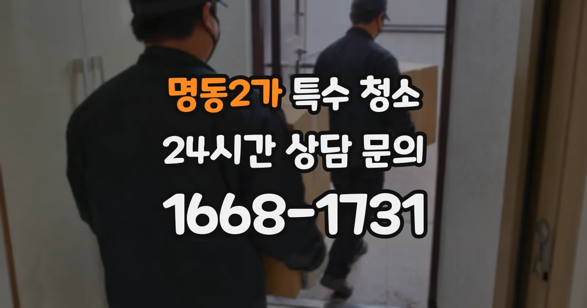 명동2가 특수 청소