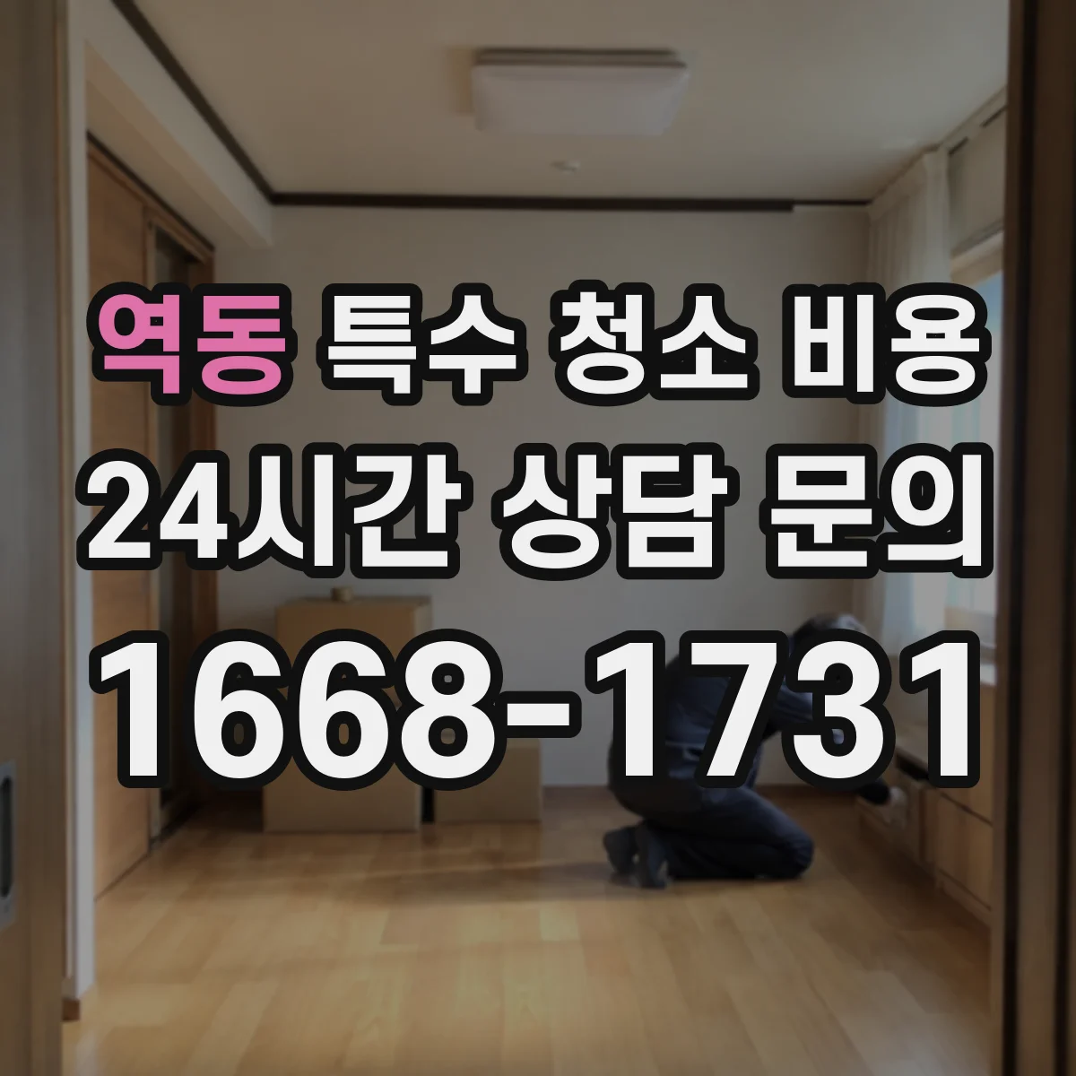 역동 특수 청소 비용