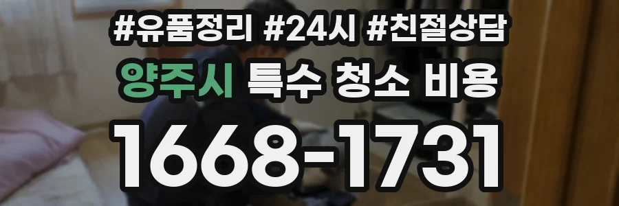 양주시 특수 청소 비용
