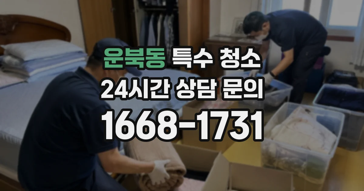 운북동 특수 청소