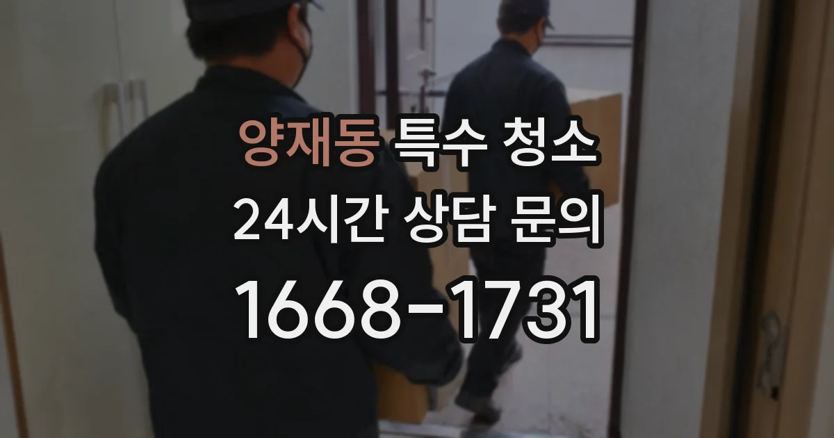 양재동 특수 청소