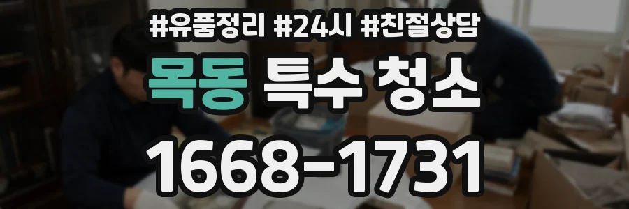 목동 특수 청소