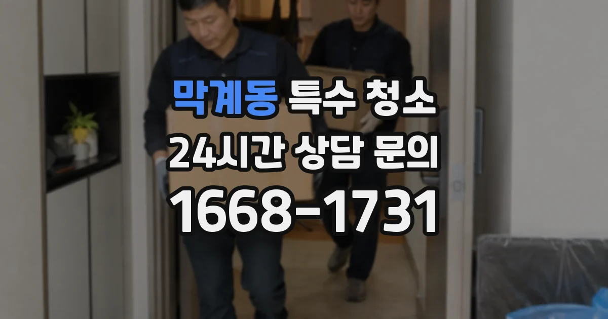 막계동 특수 청소