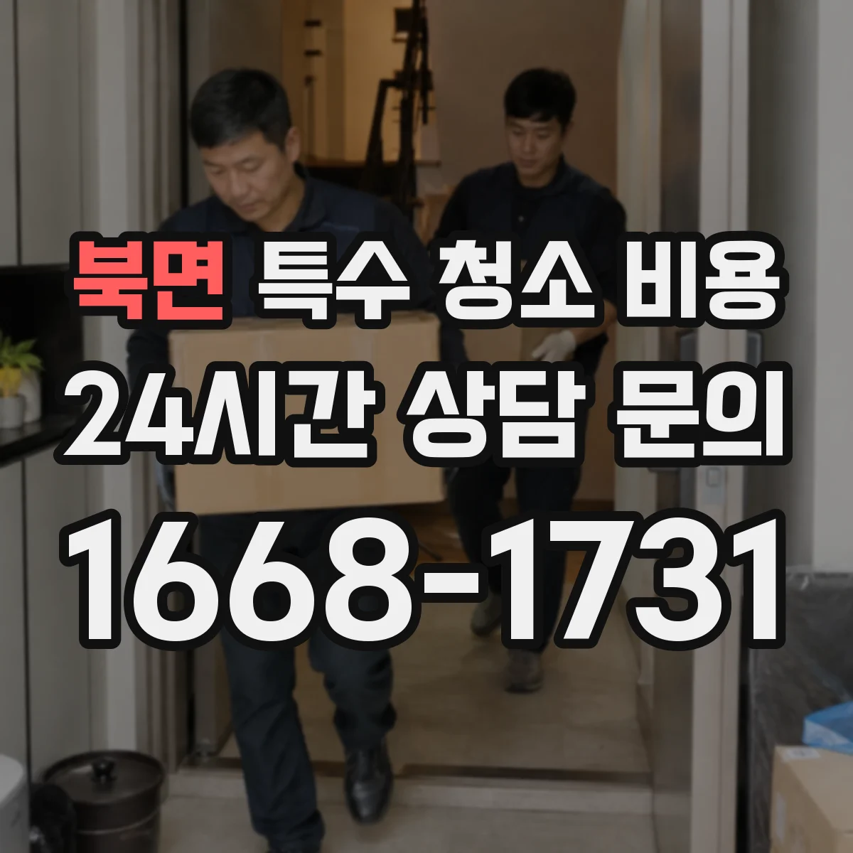 북면 특수 청소 비용