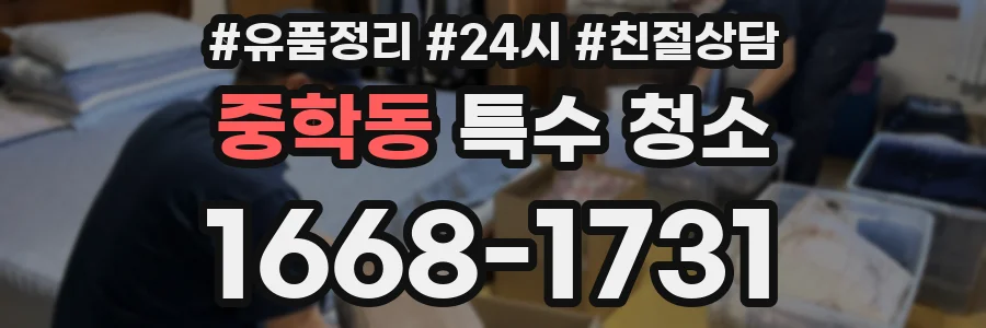 중학동 특수 청소