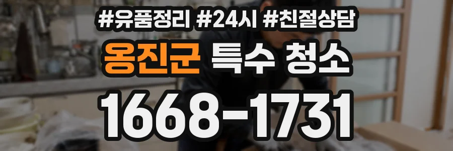 옹진군 특수 청소