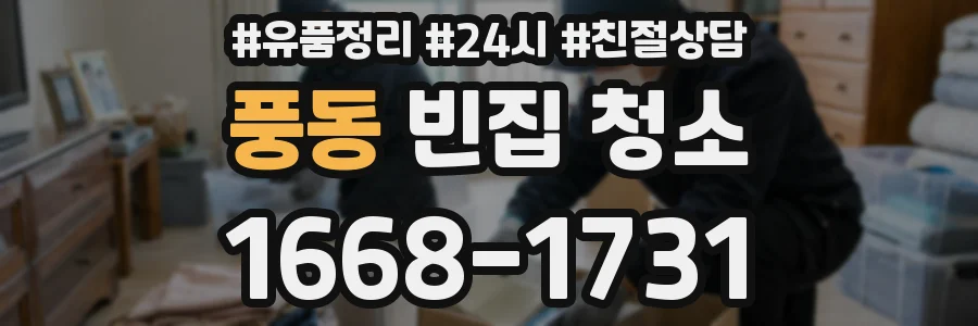 풍동 빈집 청소