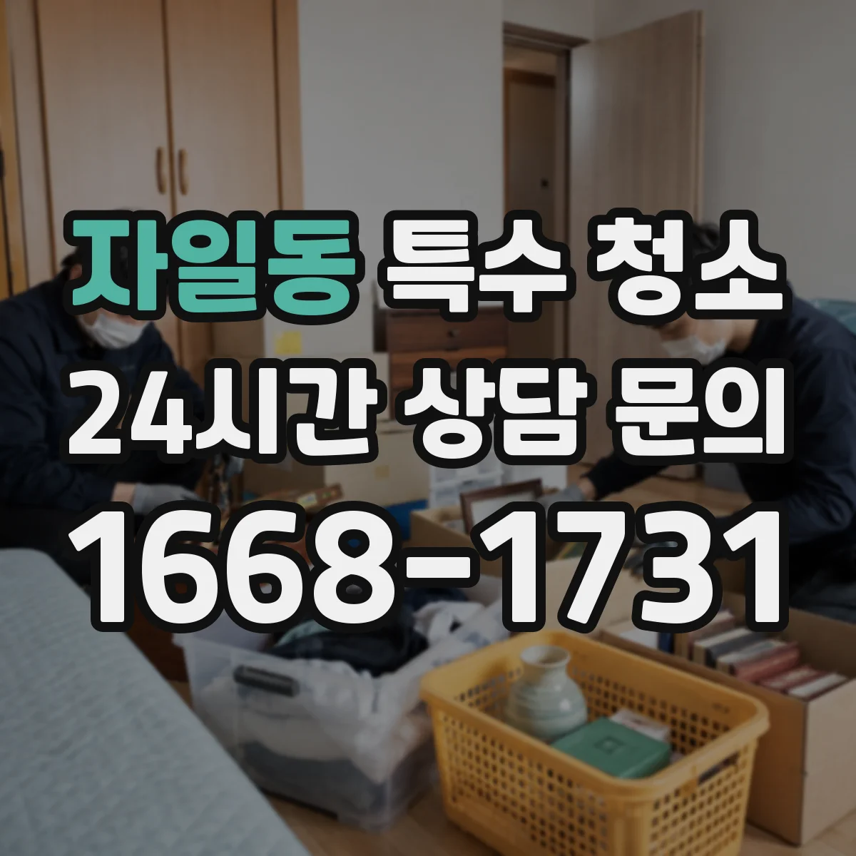 자일동 특수 청소
