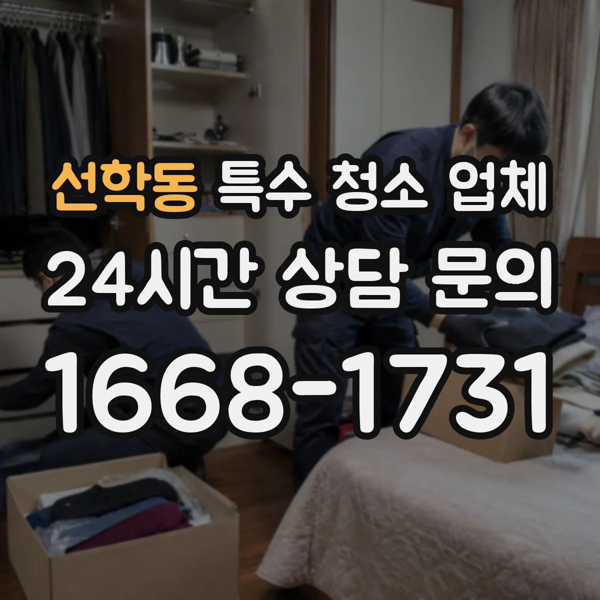 선학동 특수 청소 업체