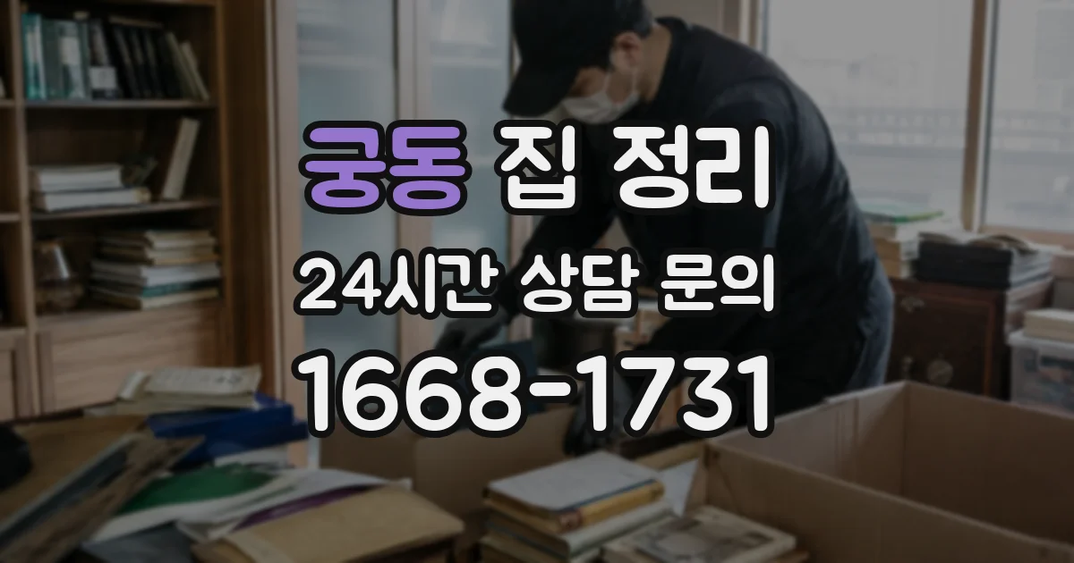 궁동 집 정리