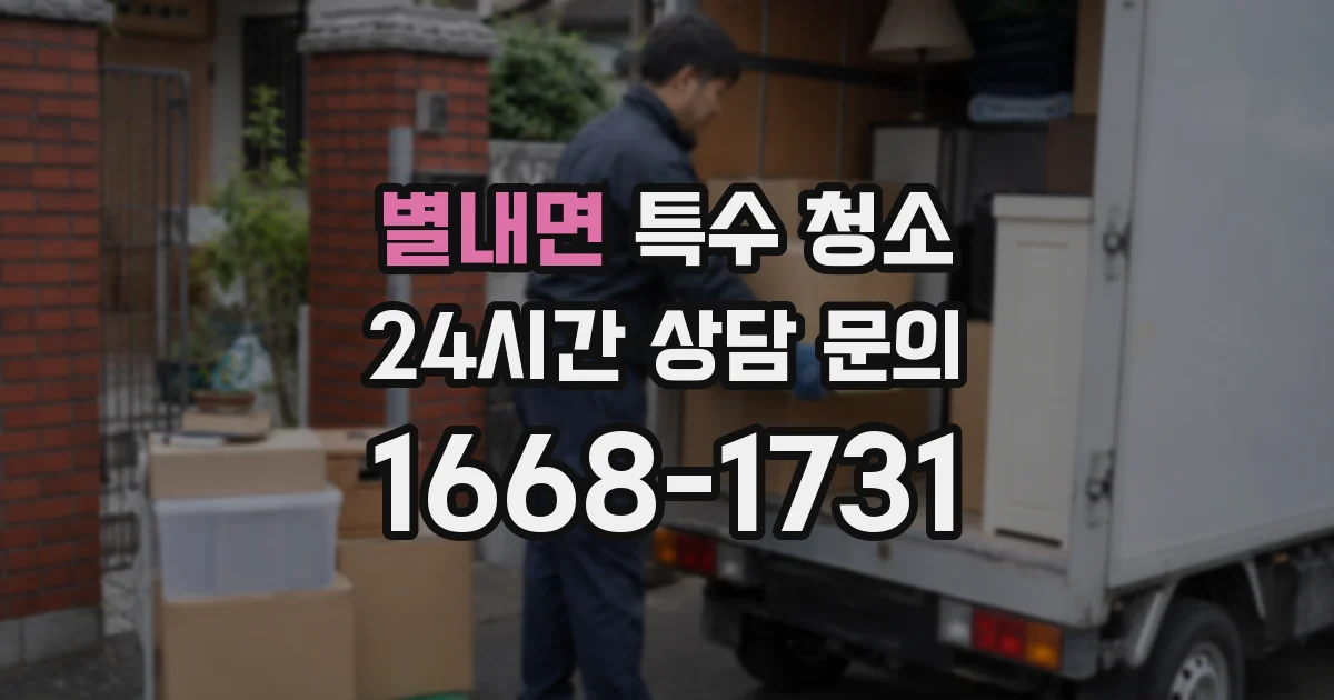 별내면 특수 청소