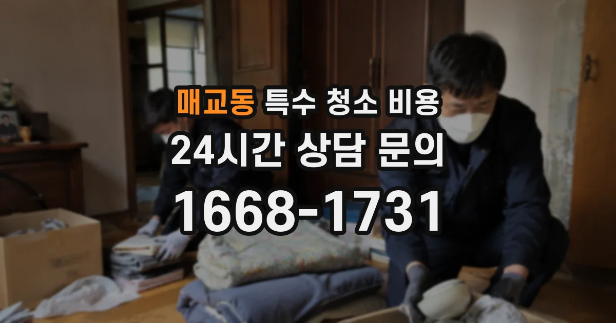 매교동 특수 청소 비용