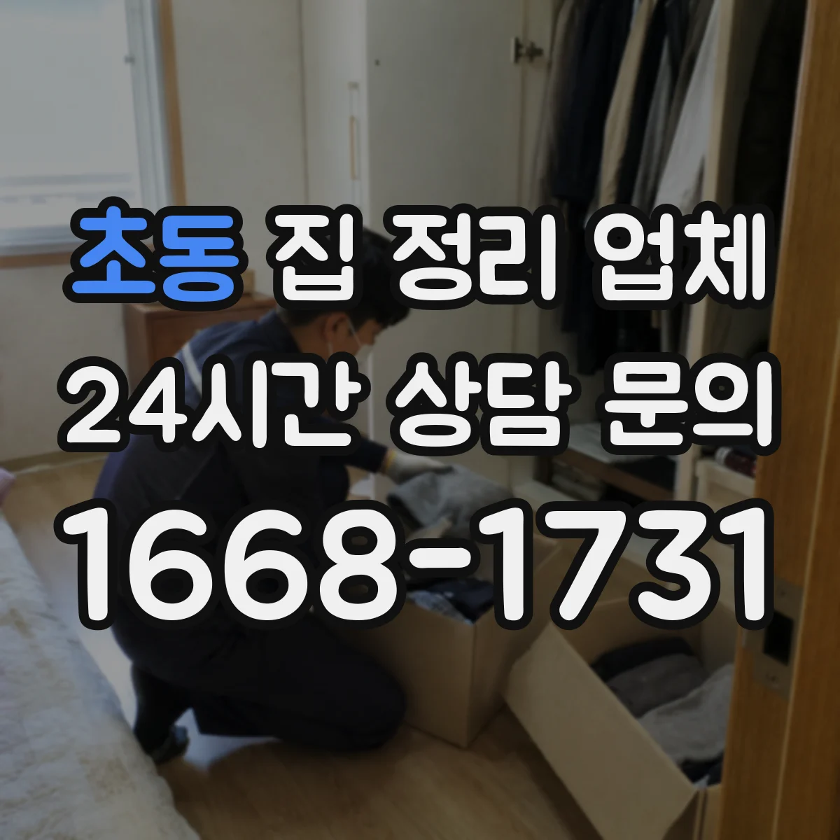 초동 집 정리 업체