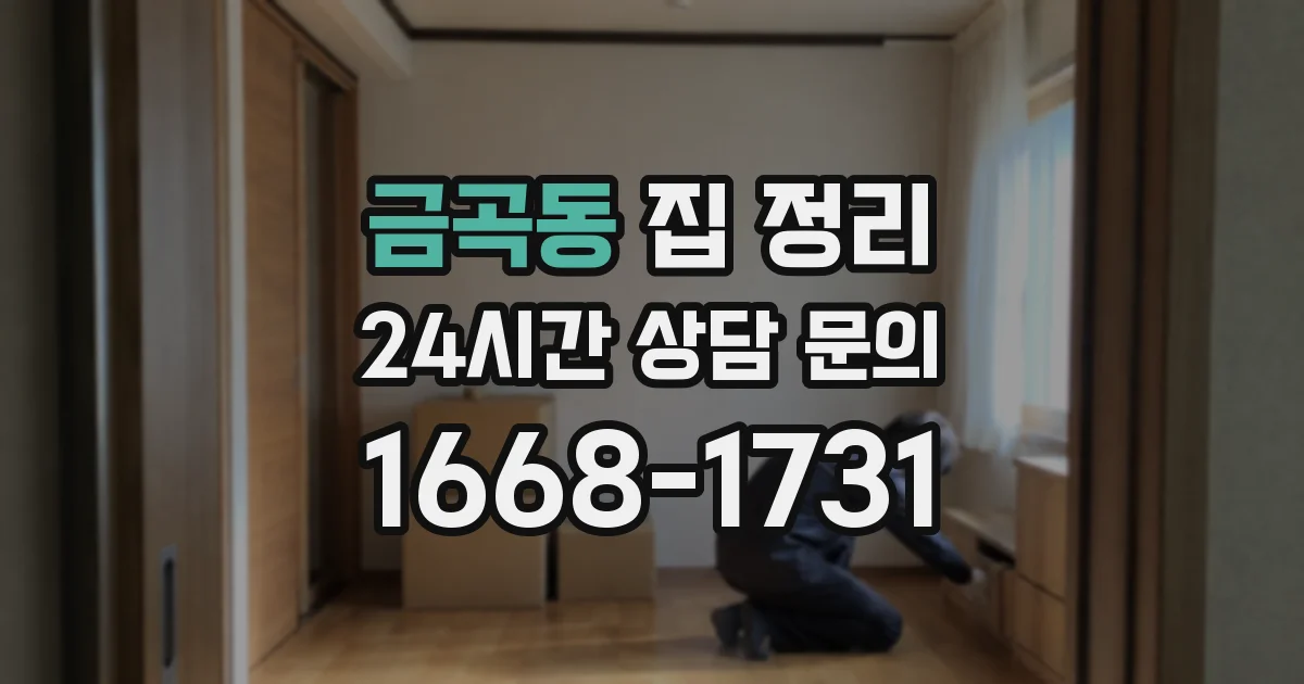 금곡동 집 정리