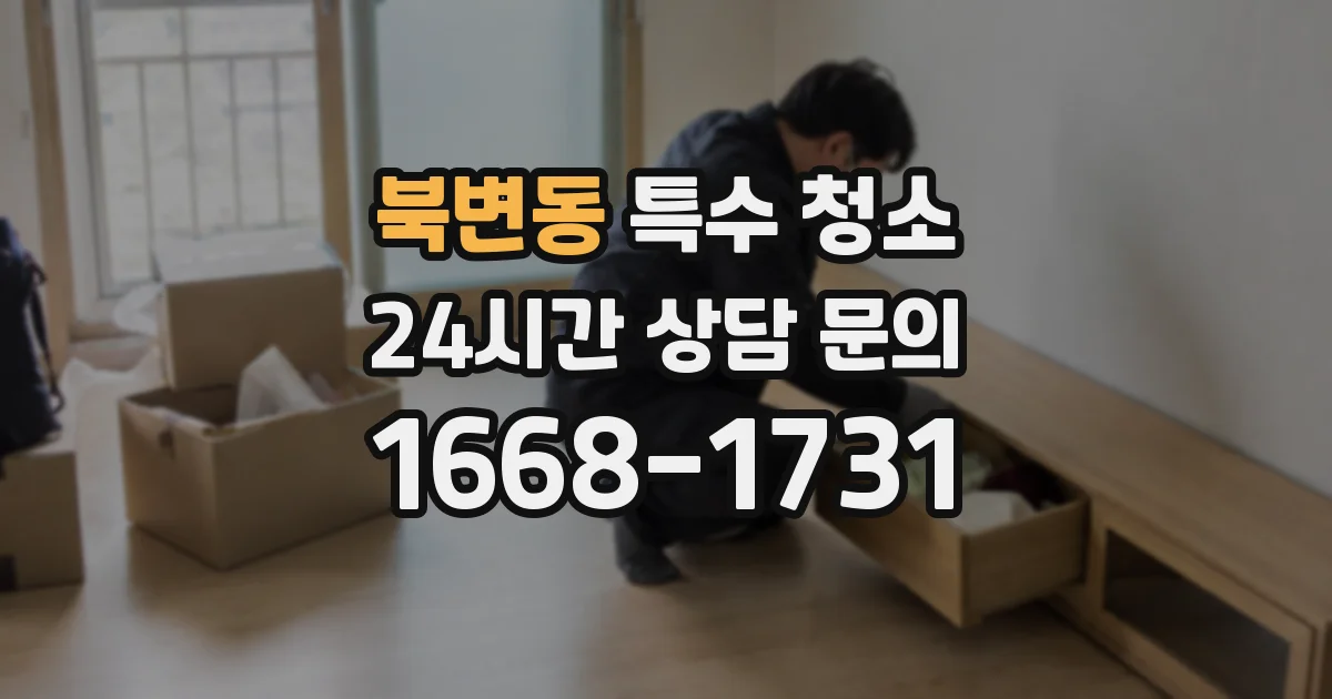 북변동 특수 청소